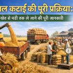 fasal-ki-katai-katne-se-mandi-tk-ki-jankari