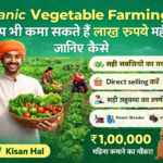 organic-farming-vegetables-in-india