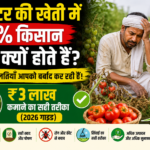 टमाटर की खेती | tamator ki kheti