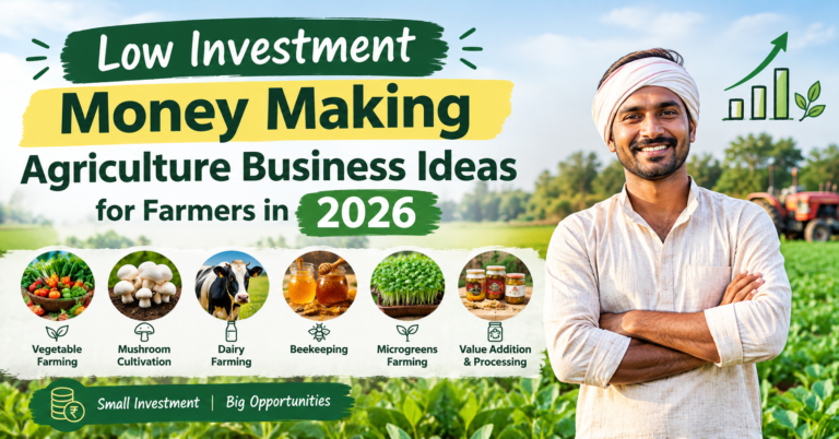 Low-investment-money-making-agriculture-business-ideas