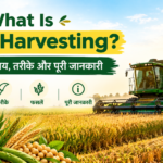 What Is Crop Harvesting